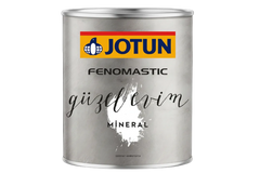 Fenomastic Güzel Evim Mineral Şeffaf Koruyucu